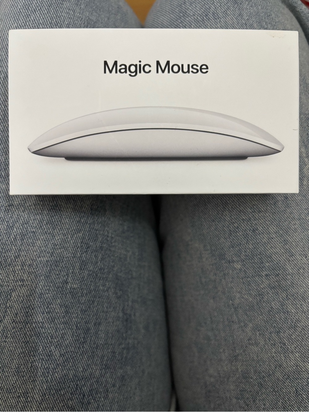 Apple Magic Mouse — White and Silver